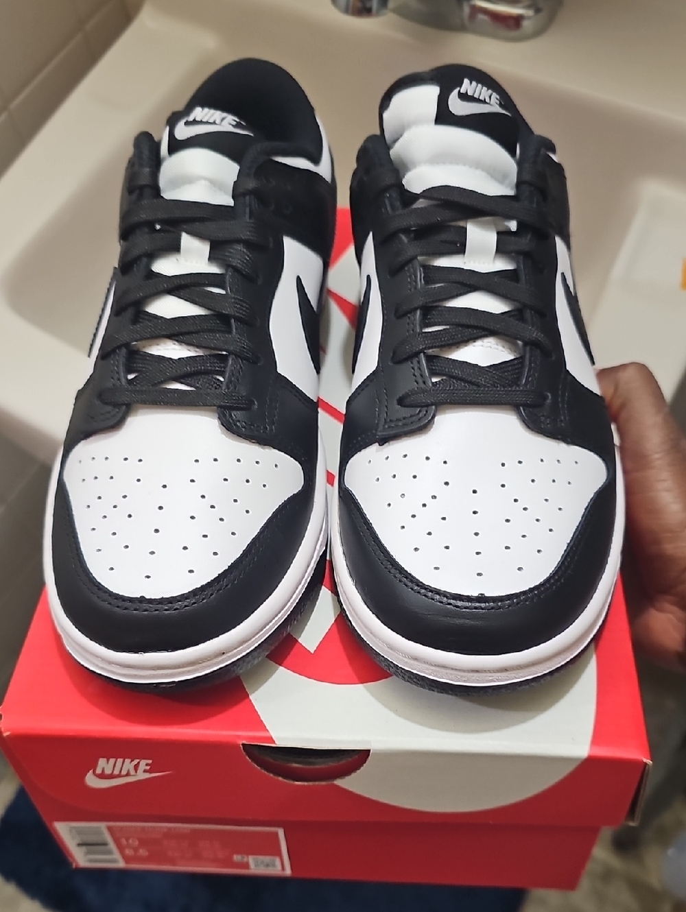 Nike Black and White Dunk-Style Low Tops